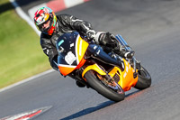 Evening Low_Mid Group Yellow Bikes